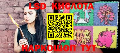 бошки Новодвинск