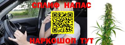 бошки Новодвинск