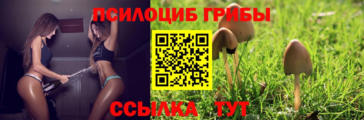 Галлюциногенные грибы ЛСД Озёрск